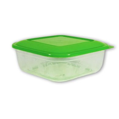 Контейнер харчовий, ємність 0,7 л «Plastic's Craft» Прозорий зелений