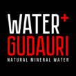 Water+GUDAURI