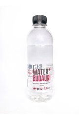 Вода мінеральна природна не газована Water+GUDAURI 0,5 л