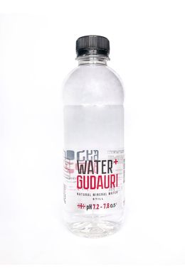 Вода минеральная природная не газированная Water+GUDAURI 0,5 л