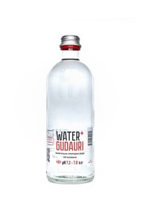 Вода мінеральна природна не газована Water+GUDAURI 0,5 л