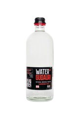 Вода мінеральна природна газована Water+GUDAURI 0,5 л
