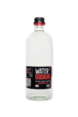Вода минеральная природная газированная Water+GUDAURI 0,5 л