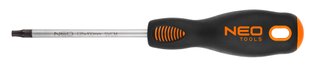 Викрутка Torx T25 x 100 мм, S2