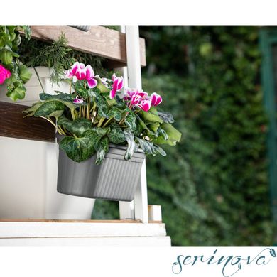 Горщик для квітів балконний підвісний Camellia 3 л антрацитовий