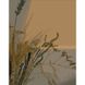 Картина за номерами Strateg ПРЕМІУМ Ранкові сухоцвіти розміром 40х50 см (DY383)