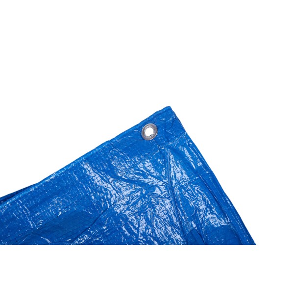 Тент універсальний"AgroStar" 60(6*8)синій