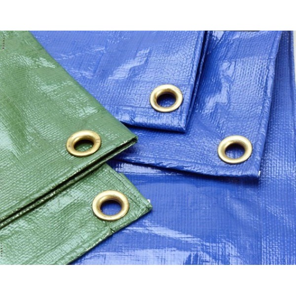 Тент універсальний"AgroStar" 60(6*10)синій