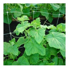 Сітка шпалерна 15*17"AgroStar"1.7*10 м (30 шт/ящ)