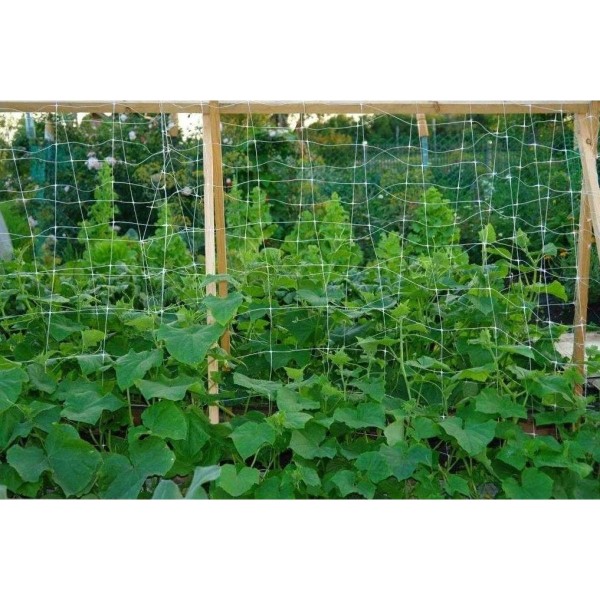 Сітка шпалерна 15*17"AgroStar"1.7*500 м