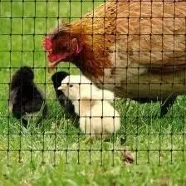 Сітка вольєрна 12*14"AgroStar"2*100 м (чорна)