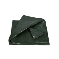 Тент універсальний"AgroStar" 100(4*6)зел