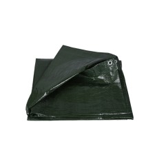 Тент універсальний"AgroStar" 100(6*10)зел