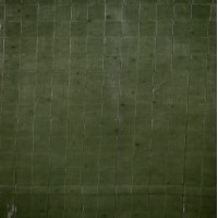 Тент універсальний"AgroStar" 100(8*10)зел