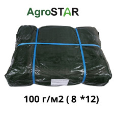 Тент універсальний"AgroStar" 100(8*12)зел