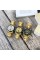 Forsining 6913 Gold-Black-Gold