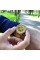Forsining 8099 All Gold
