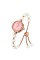 Годинник наручний Skmei 1983PKWT Pink-White