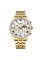 Годинник наручний Curren 8427 Gold-White