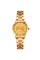 Skmei 1819GDGD Gold-Gold