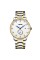 Skmei 9297GDSI Gold-Silver