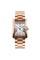 Skmei 1284RG Rose Gold