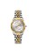 Годинник наручний Skmei 9264TGDSI Silver/Gold-Silver