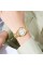 Годинник наручний Skmei 2178GD Gold