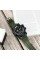 Sanda 742 Green-Black