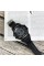 Sanda 2016 Black