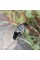 Sanda 6015 Black-Silver
