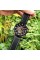 Curren 8346 Black-Cuprum