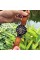 Curren 8346 Brown-Cuprum-Black