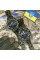 Patriot 001CMGRUAGD Тризуб золото Зелений камуфляж + Коробка.
