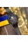 Patriot 001RDPO Поліція Чорні з червоним + Коробка.