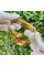 Forsining 8250 Gold-Gold