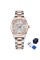 Pagani Design PD-1794M Silver-Rose Gold-White