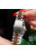 Годинник наручний Pagani Design PD-1794L Silver-Gold-Green