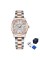 Pagani Design PD-1794L Silver-Rose Gold-White