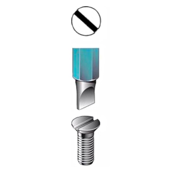 Шліцева біта Makita 1x5.5 мм 10 шт