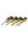 Набор стамесок DeWalt, 4 шт