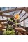 Акумуляторна дискова пила DeWalt DCS576Н