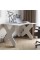Комп'ютерний стіл LION Донат 120х90х74,5 см Бетон style (LION-041703)