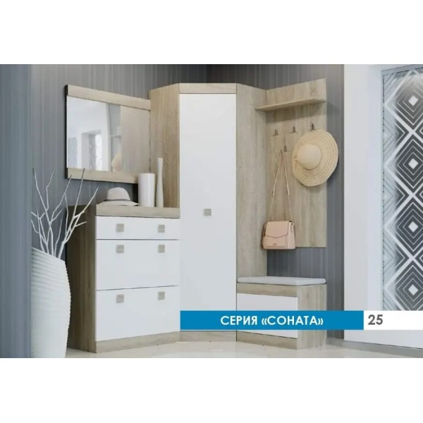 Передпокій Еверест Соната 6 (модульний - 5 елементів) дуб сонома + білий (DTM-2198)
