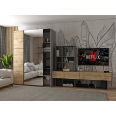 Шафа-купе двохдверна Doros G-Caiser 160х60х240 см Графіт/Дуб евок/1 Дзеркало (DRS-011038)