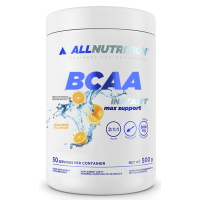 BCAA Max Support Instant - 500g Orange