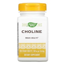 Choline 500 mg - 100 tabs Nature's Way