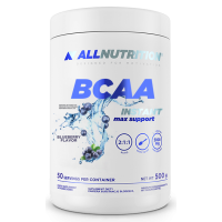 BCAA Max Support Instant - 500g Bllueberry