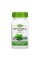 Gotu Kola Herb - 100 vcaps Nature's Way