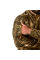 Костюм Stalker Poplin Дотик Сонця (1131), S